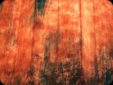 DSC00060